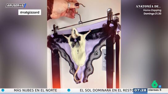 La surrealista lencer&iacute;a dise&ntilde;ada con ratas disecadas por 120 euros que deja en shock a Aruser@s