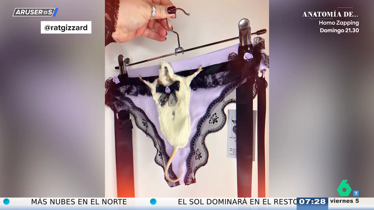 La surrealista lencería diseñada con ratas disecadas por 120 euros que deja en shock a Aruser@s La surrealista lencería diseñada con ratas disecadas por 120 euros que deja en shock a Aruser@s