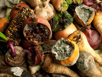 Frutas y hortalizas podridas Frutas y hortalizas podridas