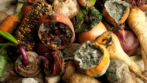 Frutas y hortalizas podridas Frutas y hortalizas podridas