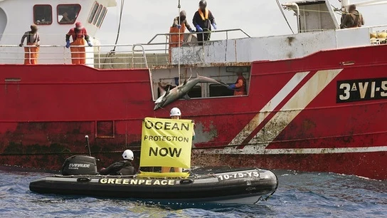 Imagen de archivo de Greenpeace grabando una pesca ilegal Imagen de archivo de Greenpeace grabando una pesca ilegal