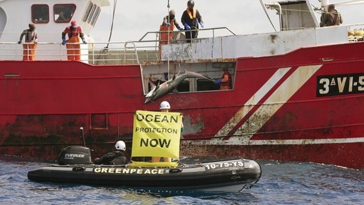 Greenpeace pilla in fraganti a un pesquero español capturand