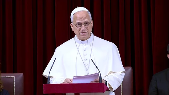 papa León XIV, sobre migración papa León XIV, sobre migración