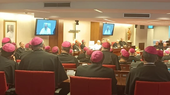 León XIV con los obispos españoles León XIV con los obispos españoles