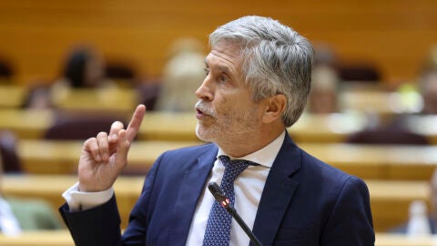 El ministro del Interior, Fernando Grande-Marlaska, interviene en la sesi&oacute;n de control al Gobierno celebrada este martes en el Senado