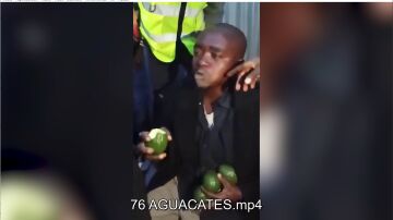 AGUACATES