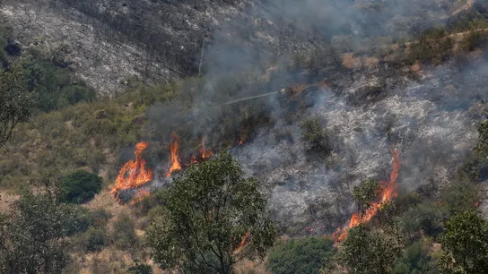 Efectivos trabajan en el perímetro afectado por el incendio de declarado en Villanueva de los Castillejos (Huelva). Efectivos trabajan en el perímetro afectado por el incendio de declarado en Villanueva de los Castillejos (Huelva).