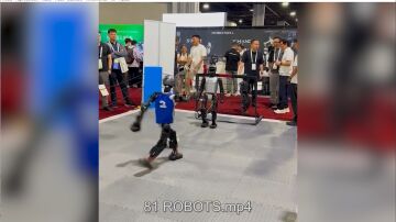 ROBOTS