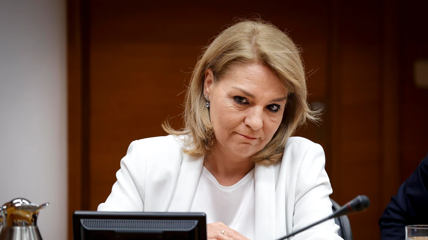 La vicepresidenta de la Generalidad Valenciana, Susana Camarero, en Les Corts La vicepresidenta de la Generalidad Valenciana, Susana Camarero, en Les Corts
