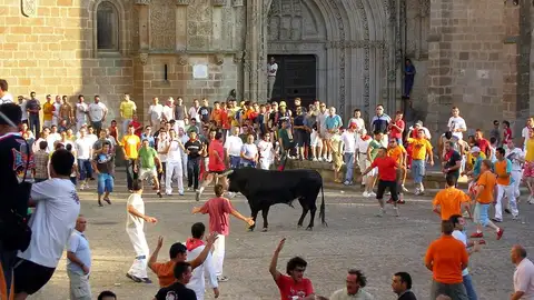 Toro en las fiestas de San Juan en Coria Toro en las fiestas de San Juan en Coria