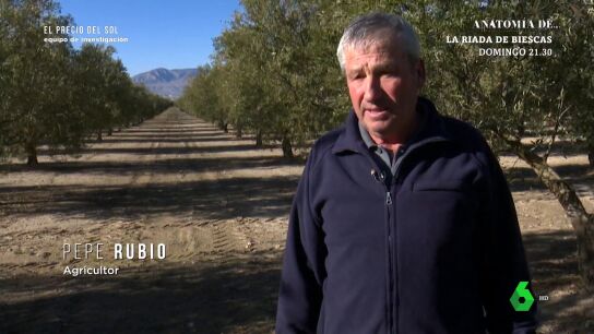 "Dijeron que era voluntario alquilar las tierras y ahora las expropian": la queja de un agricultor que perder&aacute; sus olivos por una megaplanta solar