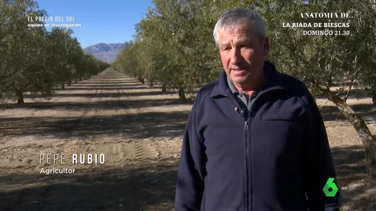 "Dijeron que era voluntario alquilar las tierras y ahora las expropian": la queja de un agricultor que perderá sus olivos por una megaplanta solar "Dijeron que era voluntario alquilar las tierras y ahora las expropian": la queja de un agricultor que perderá sus olivos por una megaplanta solar