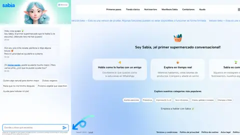 La interfaz del supermercado conversacional SABIA-2