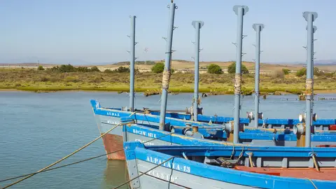 Barbate Barbate