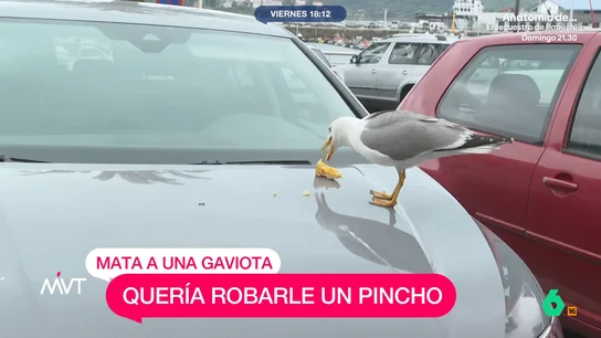 Debate en Gijón tras la detención de un hombre por matar a una gaviota que quiso robarle el pincho mvt-mata-gaviota-pincho