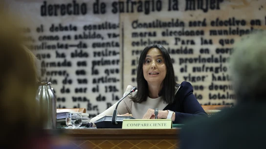 La directora de la Guardia Civil, Mercedes González, durante su comparecencia en el Senado La directora de la Guardia Civil, Mercedes González, durante su comparecencia en el Senado
