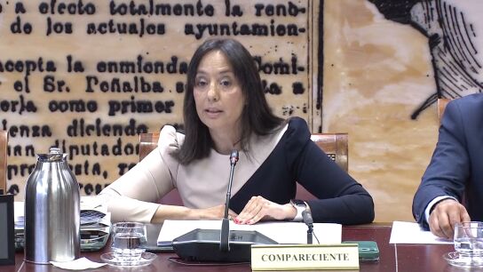Comparecencia de la directora de la Guardia Civil en el Senado