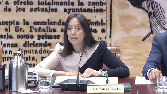 Comparecencia de la directora de la Guardia Civil en el Senado Comparecencia de la directora de la Guardia Civil en el Senado