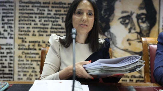 La directora general de la Guardia Civil, Mercedes Gonz&aacute;lez, comparece este martes en el Senado. 