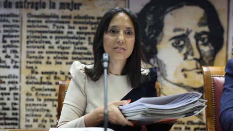La directora general de la Guardia Civil, Mercedes Gonz&aacute;lez, comparece este martes en el Senado. 