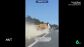 El espectacular accidente de un cami&oacute;n tras perder el control y volcar en plena A-7: el conductor, &uacute;nico herido