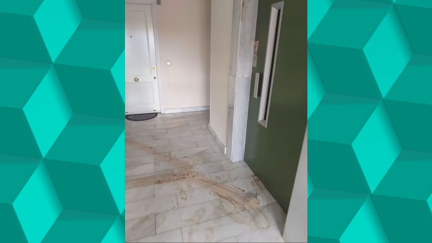 Detenido en M&oacute;stoles, Madrid, por apu&ntilde;alar a su compa&ntilde;ero de piso por poner la lavadora de madrugada