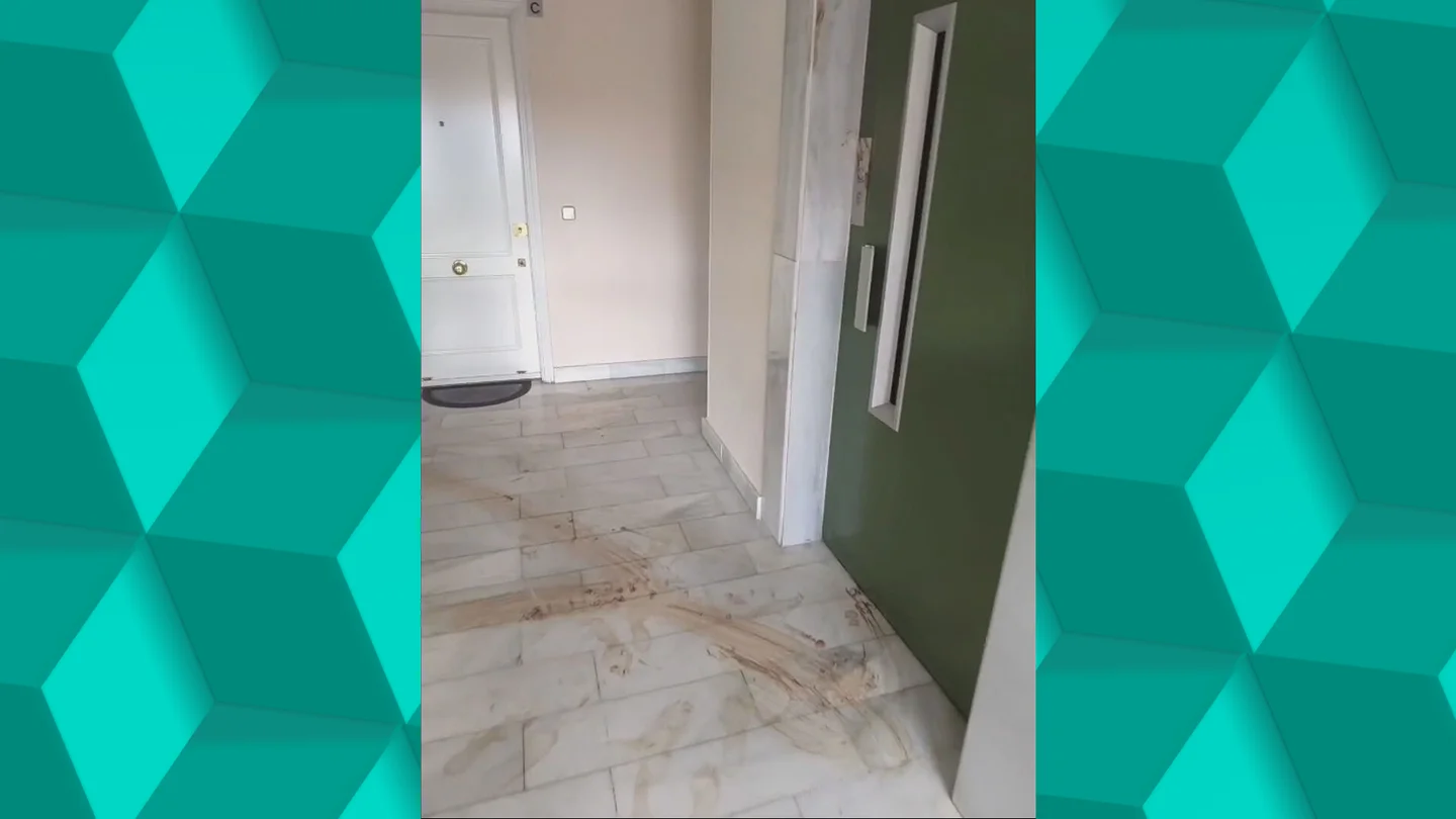 Detenido en Móstoles, Madrid, por apuñalar a su compañero de piso por poner la lavadora de madrugada Detenido en Móstoles, Madrid, por apuñalar a su compañero de piso por poner la lavadora de madrugada