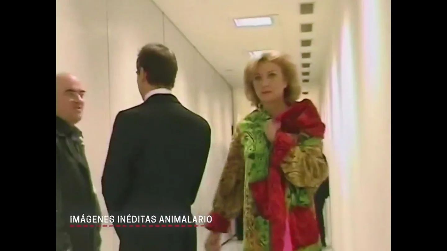Marisa Paredes, a la ministra en plena gala de los Goya del 'No a la guerra' cuando preguntó "qué es esto": "La democracia, señora ministra" Marisa Paredes, a la ministra en plena gala de los Goya del 'No a la guerra' cuando preguntó "qué es esto": "La democracia, señora ministra"