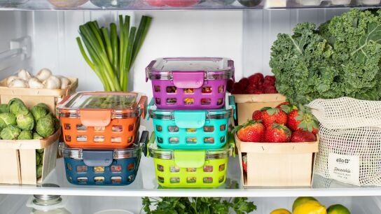Alimentos en una nevera