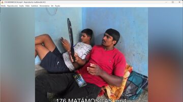 Matamoscas