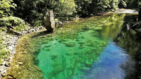 La garganta de Vintgar La garganta de Vintgar