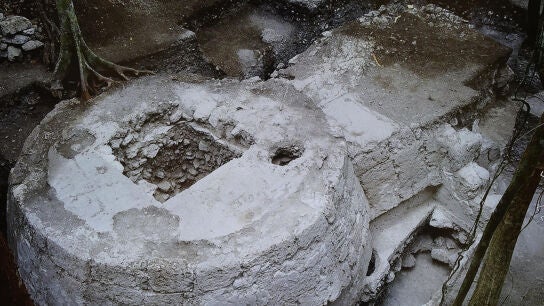 Fotograf&iacute;a que muestra una imagen del hallazgo de una singular estructura ritual maya, en el sitio prehisp&aacute;nico El Tigre