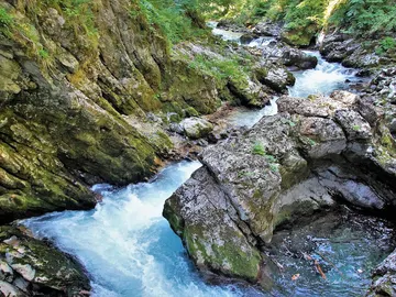 La garganta de Vintgar La garganta de Vintgar