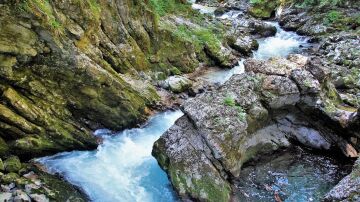 La garganta de Vintgar