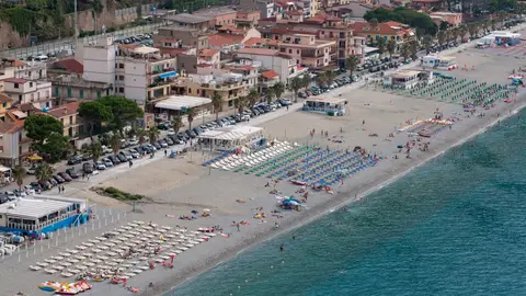 Scilla Scilla