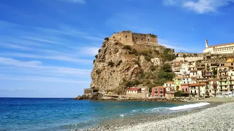 Scilla Scilla