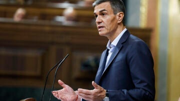 Feij&oacute;o, a S&aacute;nchez: "&iexcl;Qu&eacute; soberbia! &iexcl;Cu&aacute;nta indignidad! Lo &uacute;nico que se espera de usted es que disuelva las Cortes y vayamos a votar"
