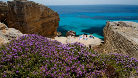 Cala del Bue Marino