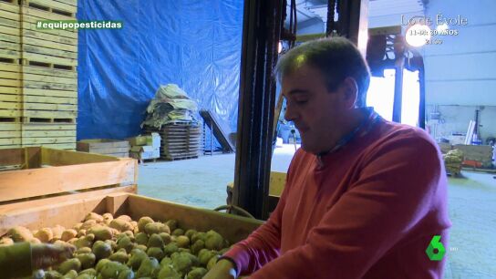 "Puede repercutir un c&eacute;ntimo por tonelada": as&iacute; explican unos agricultores de Galicia c&oacute;mo les afecta la prohibici&oacute;n de un potente pesticida