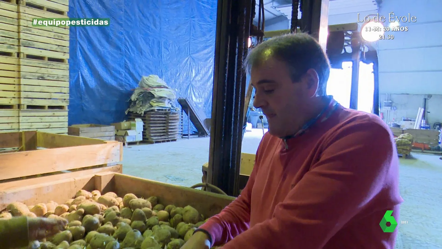 "Puede repercutir un céntimo por tonelada": así explican unos agricultores de Galicia cómo les afecta la prohibición de un potente pesticida "Puede repercutir un céntimo por tonelada": así explican unos agricultores de Galicia cómo les afecta la prohibición de un potente pesticida
