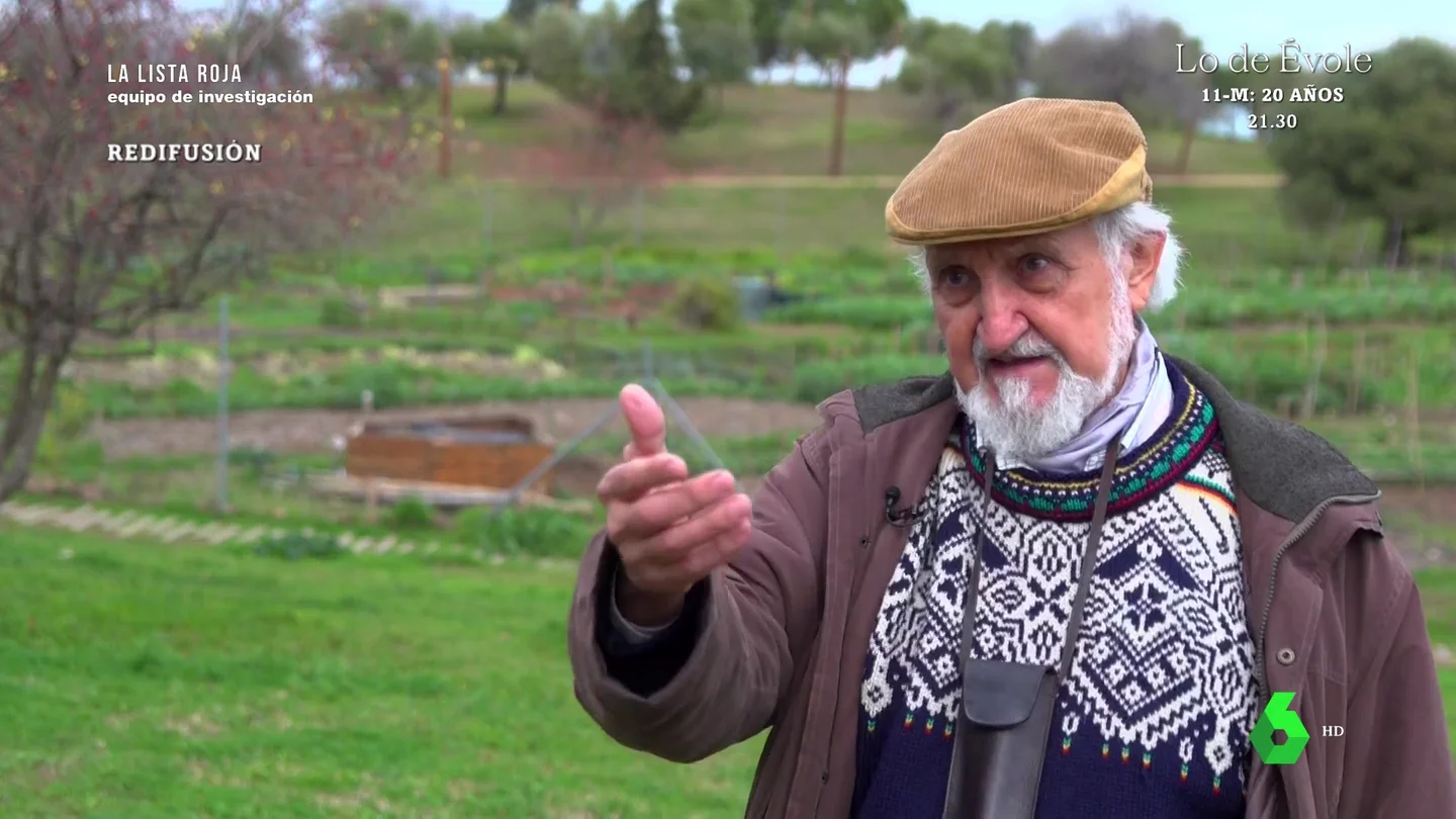 "Producimos un 60% más de lo que necesitamos para alimentar a la humanidad": el análisis de un experto sobre la agricultura sin pesticidas "Producimos un 60% más de lo que necesitamos para alimentar a la humanidad": el análisis de un experto sobre la agricultura sin pesticidas