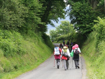Camino de Santiago