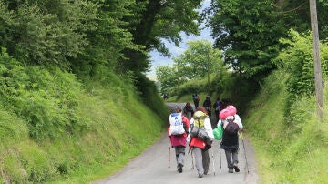 Camino de Santiago