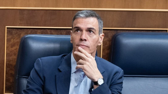 El presidente del Gobierno, Pedro Sánchez, durante una sesión plenaria en el Congreso de los Diputados. El presidente del Gobierno, Pedro Sánchez, durante una sesión plenaria en el Congreso de los Diputados.