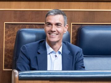 El presidente del Gobierno, Pedro S&aacute;nchez.