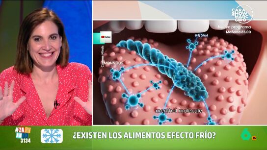 La farmac&eacute;utica se&ntilde;ala que, aunque no hay alimentos que puedan actuar "como un aire acondicionado", s&iacute; que pueden ser "como el ventilador de la abuela".  