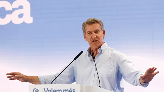 El presidente del PP, Alberto Núñez Feijóo El presidente del PP, Alberto Núñez Feijóo