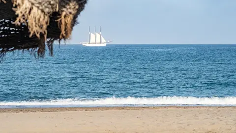Vera Vera