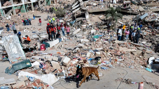 Un perro de rescate del equipo argentino de búsqueda y salvamento busca cuerpos entre los escombros de un edificio colapsado en Caraballeda, estado de La Guaira, Venezuela, el 28 de junio de 2026, tras unos terremotos. Un perro de rescate del equipo argentino de búsqueda y salvamento busca cuerpos entre los escombros