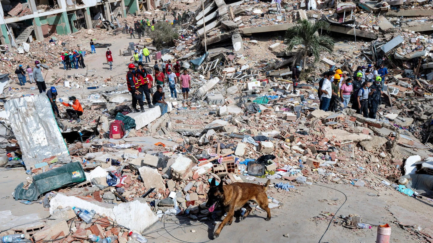 Un perro de rescate del equipo argentino de búsqueda y salvamento busca cuerpos entre los escombros de un edificio colapsado en Caraballeda, estado de La Guaira, Venezuela, el 28 de junio de 2026, tras unos terremotos. Un perro de rescate del equipo argentino de búsqueda y salvamento busca cuerpos entre los escombros